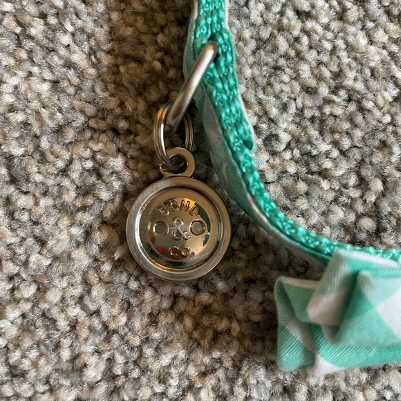 Pet Dog or Cat Collar with Bow - Picture 2 of 3